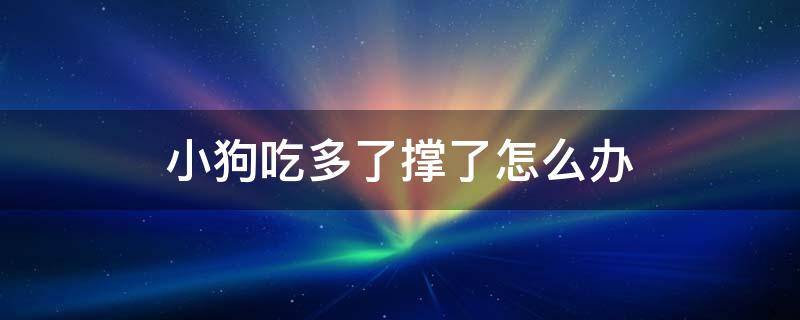 小狗吃多了撑了怎么办 狗吃太多撑住了怎么办