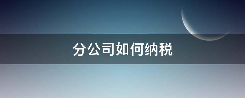 分公司如何纳税（总公司和分公司如何纳税）