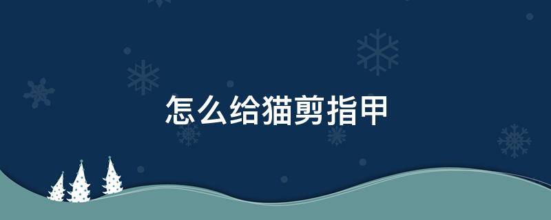 怎么给猫剪指甲 怎么给猫剪指甲不让它反抗