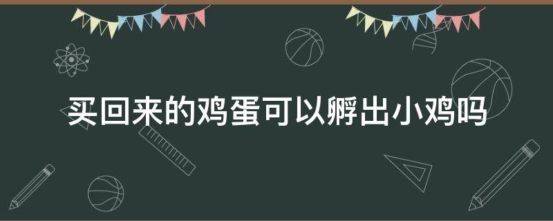 买回来的鸡蛋可以孵出小鸡吗（我们买的鸡蛋可以孵出小鸡吗）