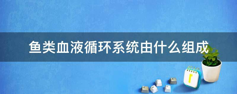 鱼类血液循环系统由什么组成（鱼的血液循环系统是什么方式）