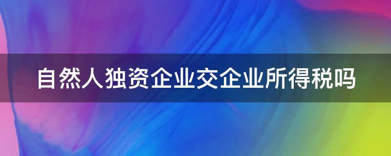 自然人独资企业交企业所得税吗（自然人独资交企业所得税还是个人所得税）