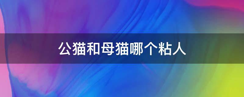 公猫和母猫哪个粘人 公猫和母猫哪个粘人?