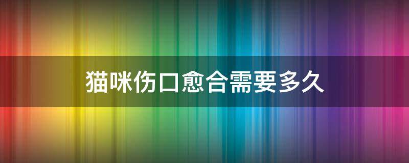 猫咪伤口愈合需要多久 猫伤口几天愈合