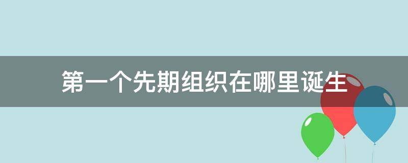 第一个先期组织在哪里诞生（中国少年先锋队第一个先期组织在哪里诞生）