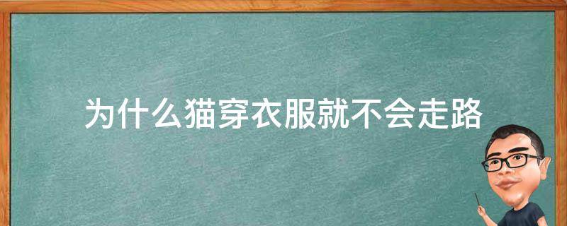 为什么猫穿衣服就不会走路（为什么猫穿衣服就不会走路了）