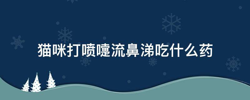 猫咪打喷嚏流鼻涕吃什么药（猫咪打喷嚏流鼻涕吃什么药治）