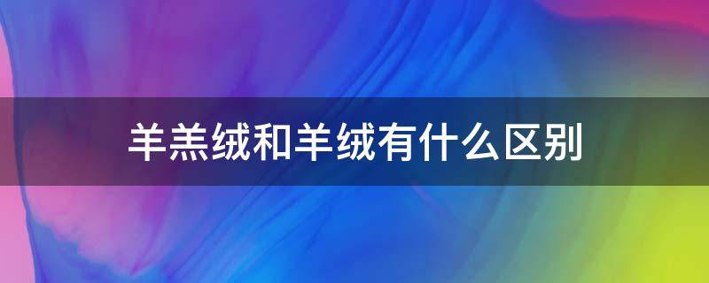 羊羔绒和羊绒有什么区别 羊羔绒和羊绒的区别