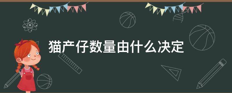 猫产仔数量由什么决定 猫的产仔数量