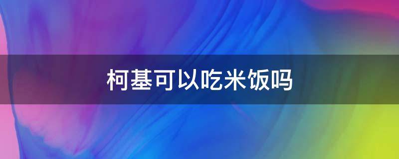 柯基可以吃米饭吗 小柯基能吃米饭吗