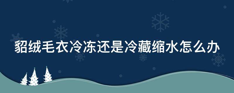 貂绒毛衣冷冻还是冷藏缩水怎么办（貂绒毛衣冷冻还是冷藏缩水怎么办呢）