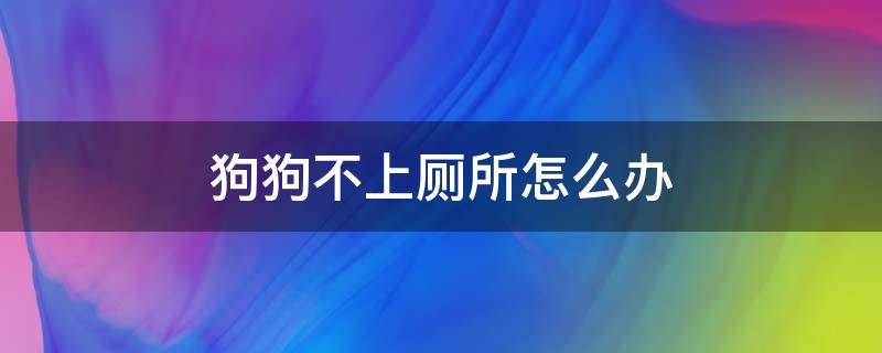 狗狗不上厕所怎么办 疫情隔离狗狗不上厕所怎么办