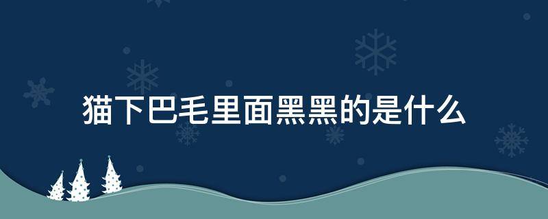 猫下巴毛里面黑黑的是什么 猫下巴毛上有黑色东西