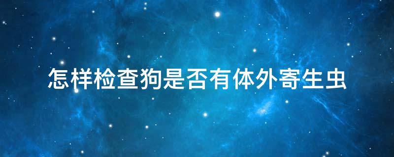 怎样检查狗是否有体外寄生虫 怎么检查狗体内有没有寄生虫