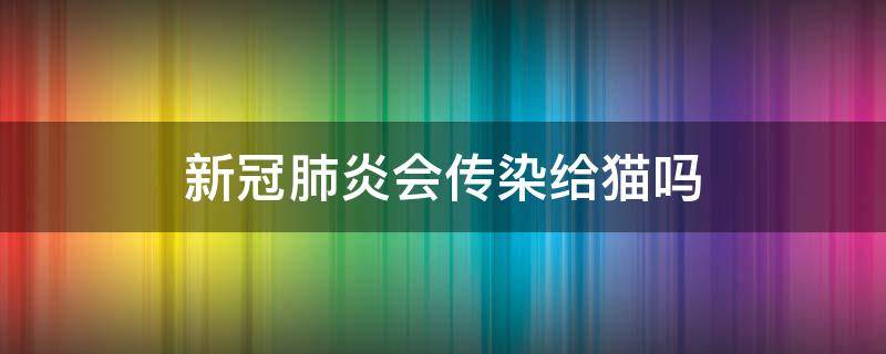 新冠肺炎会传染给猫吗（猫会不会感染新冠肺炎）