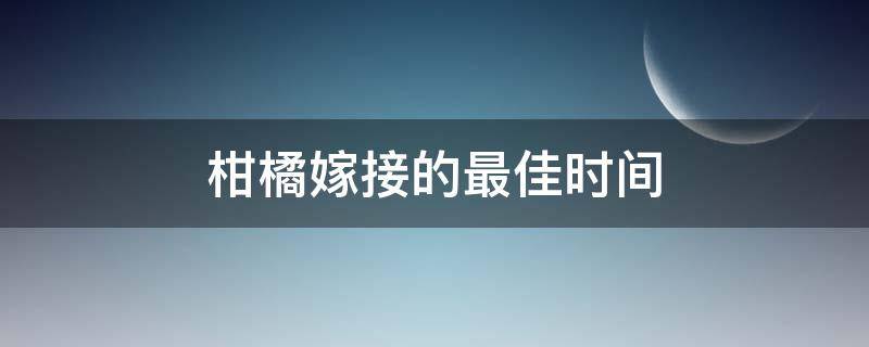 柑橘嫁接的最佳时间 柑橘嫁接的最佳时间和方法视频