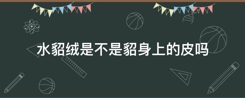 水貂绒是不是貂身上的皮吗（水貂绒是貂皮大衣吗）