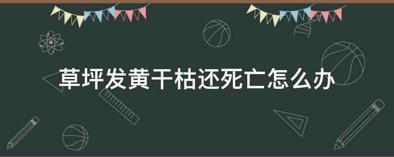 草坪发黄干枯还死亡怎么办（草坪发黄干枯）