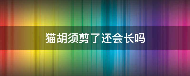 猫胡须剪了还会长吗 猫胡须剪掉还会长吗