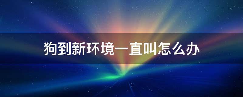 狗到新环境一直叫怎么办 狗狗到一个新环境一直叫怎么办