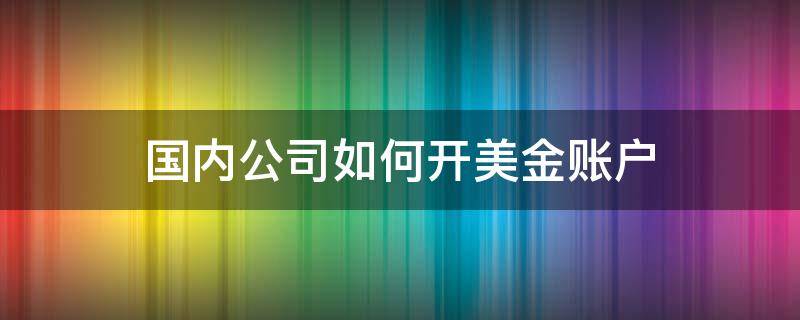 国内公司如何开美金账户（国内公司如何开美金账户,费用多少）