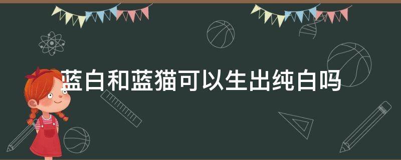 蓝白和蓝猫可以生出纯白吗 纯白猫咪和蓝猫能生出什么