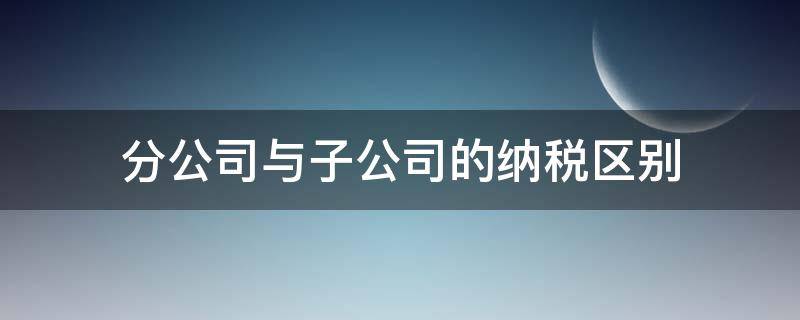 分公司与子公司的纳税区别 子公司与分公司的纳税义务相同吗
