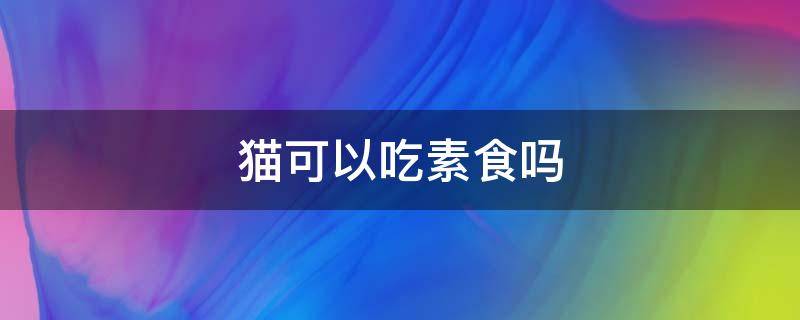 猫可以吃素食吗 猫不能吃素食吗