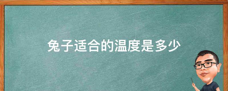 兔子适合的温度是多少 夏天兔子适合的温度是多少