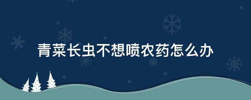 青菜长虫不想喷农药怎么办 青菜长虫子了又不想用化学农药喷怎么办