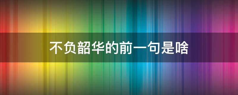 不负韶华的前一句是啥（不负韶华,前面一句是什么）