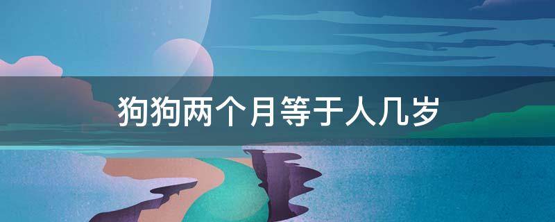 狗狗两个月等于人几岁 狗两个半月相当于人几岁