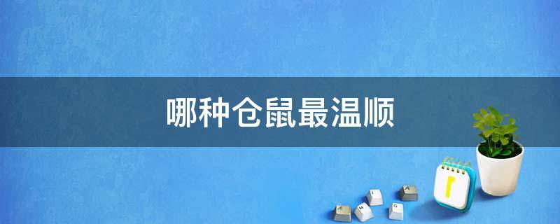 哪种仓鼠最温顺 哪种仓鼠最温顺亲人不咬人