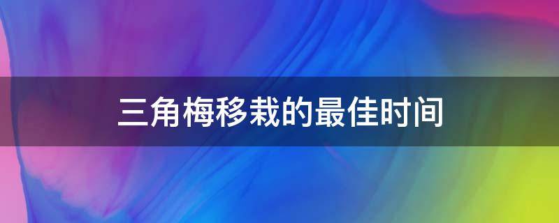 三角梅移栽的最佳时间（三角梅什么时间移栽最好）