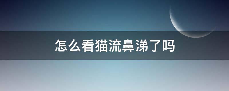 怎么看猫流鼻涕了吗（猫流鼻涕是什么样子,怎样看猫流没流鼻涕）