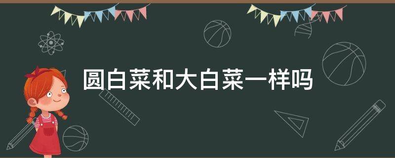 圆白菜和大白菜一样吗 大白菜跟白菜一样吗