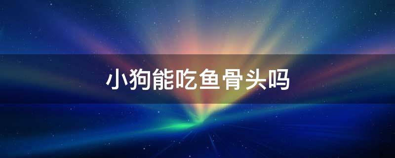 小狗能吃鱼骨头吗 狗狗能不能吃鱼骨头