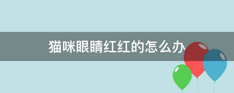 猫咪眼睛红红的怎么办 猫咪眼睛有点红怎么办