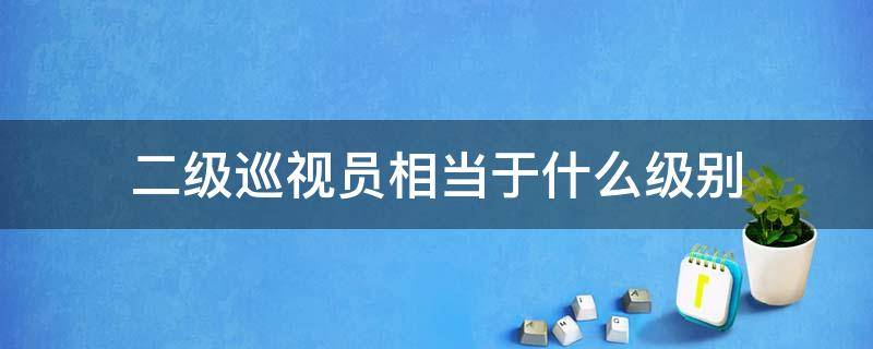 二级巡视员相当于什么级别 市级二级巡视员相当于什么级别