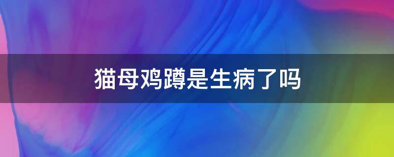 猫母鸡蹲是生病了吗 猫母鸡蹲是怎么回事