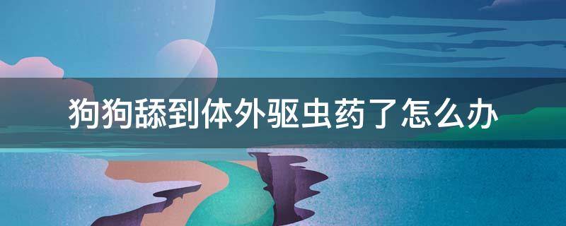 狗狗舔到体外驱虫药了怎么办 狗狗不小心舔到体外驱虫的药有没有事情