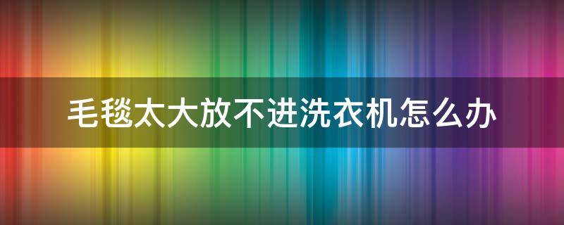 毛毯太大放不进洗衣机怎么办 毛毯太厚洗衣机洗不动怎么办