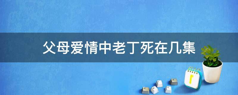 父母爱情中老丁死在几集（父母爱情里老丁哪集死的）