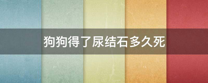 狗狗得了尿结石多久死（狗狗得尿结石会死吗）