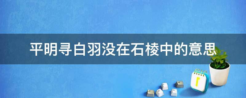 平明寻白羽没在石棱中的意思 塞下曲平明寻白羽没在石棱中的意思