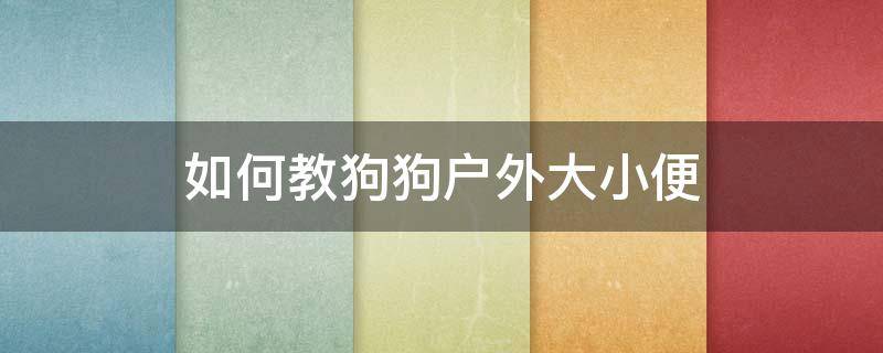 如何教狗狗户外大小便（怎么教成年狗狗在室外大小便）