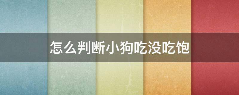 怎么判断小狗吃没吃饱 怎样判断小狗吃没吃饱