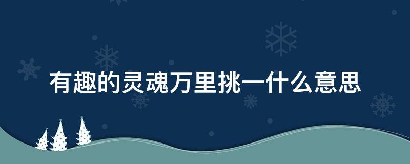 有趣的灵魂万里挑一什么意思（有趣的灵魂万里挑一什么意思 无趣的人呢）