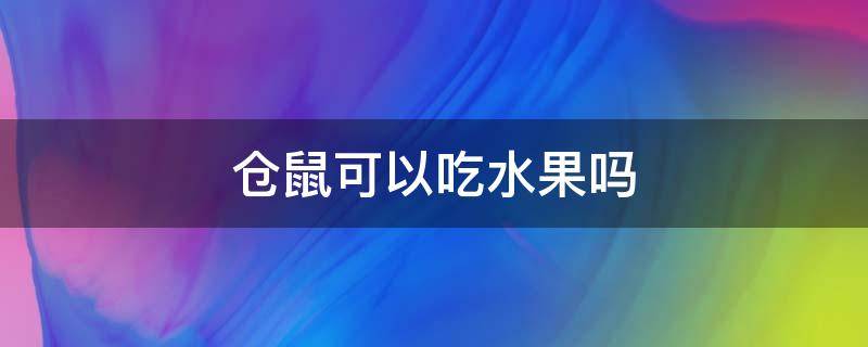 仓鼠可以吃水果吗（仓鼠可以吃水果吗比如苹果）