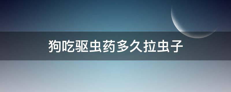 狗吃驱虫药多久拉虫子（狗狗吃了驱虫药几天拉虫子）